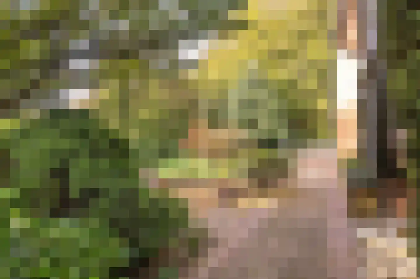 Bosweg 17 Berg en Dal thumbnail 83