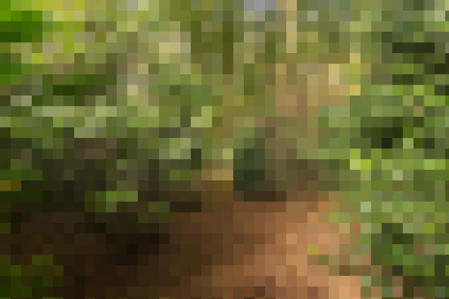 Bosweg 17 Berg en Dal thumbnail 84
