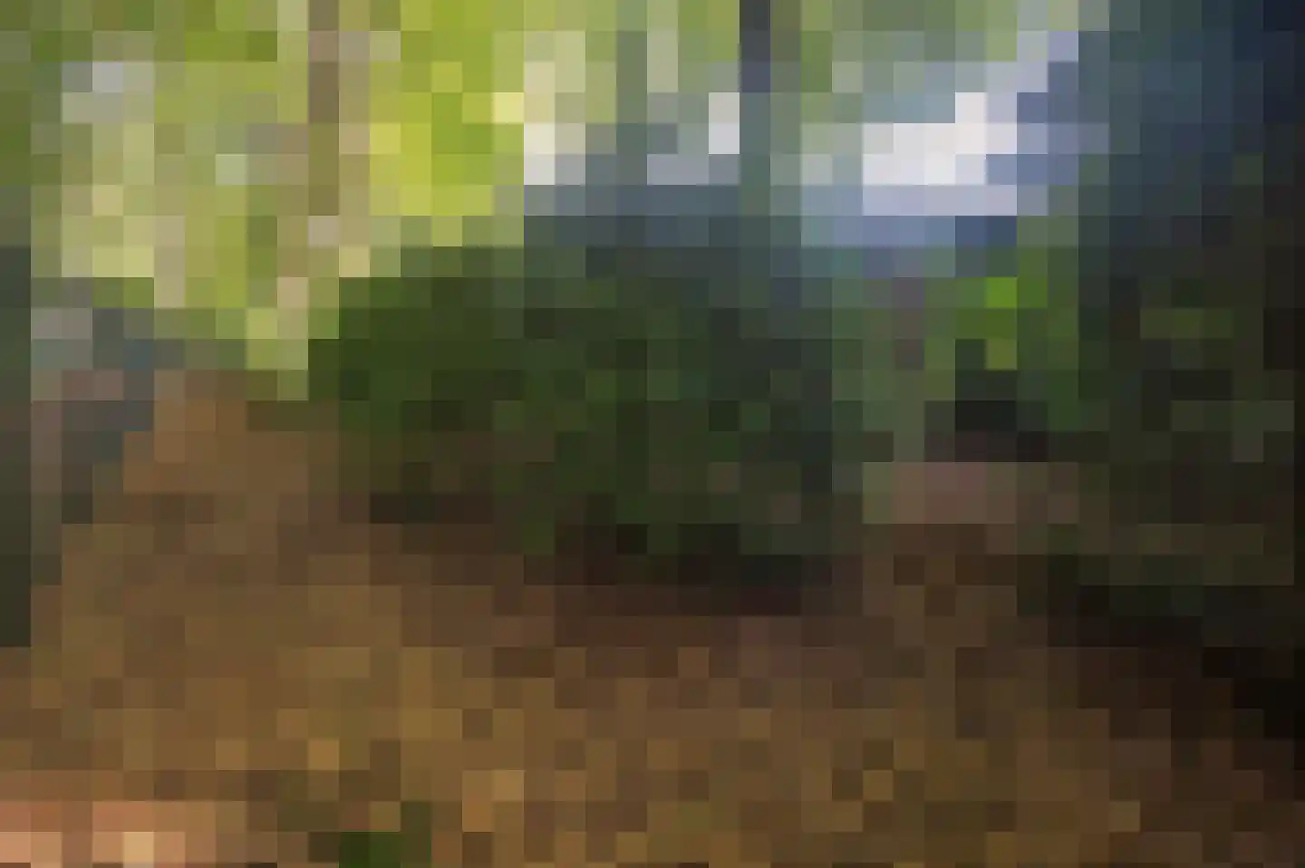 Bosweg 17 Berg en Dal thumbnail 85
