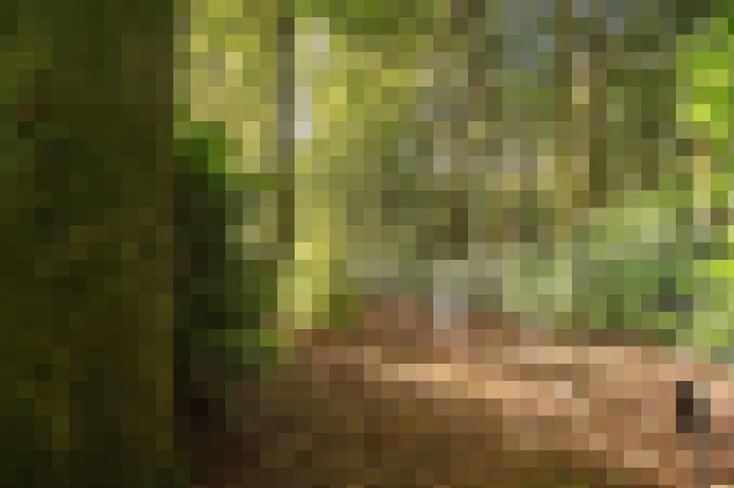 Bosweg 17 Berg en Dal thumbnail 86