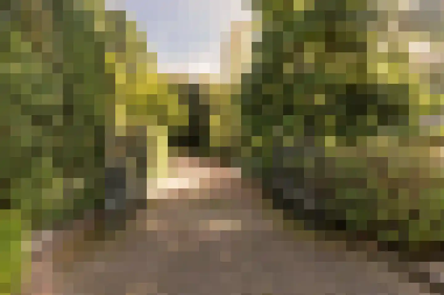 Bosweg 17 Berg en Dal thumbnail 87