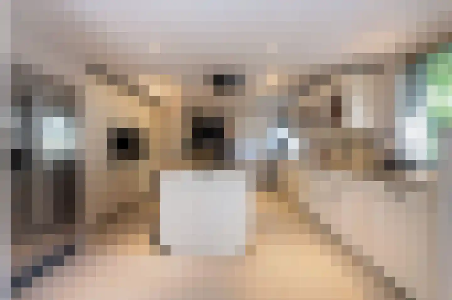 Bosweg 17 Berg en Dal thumbnail 9