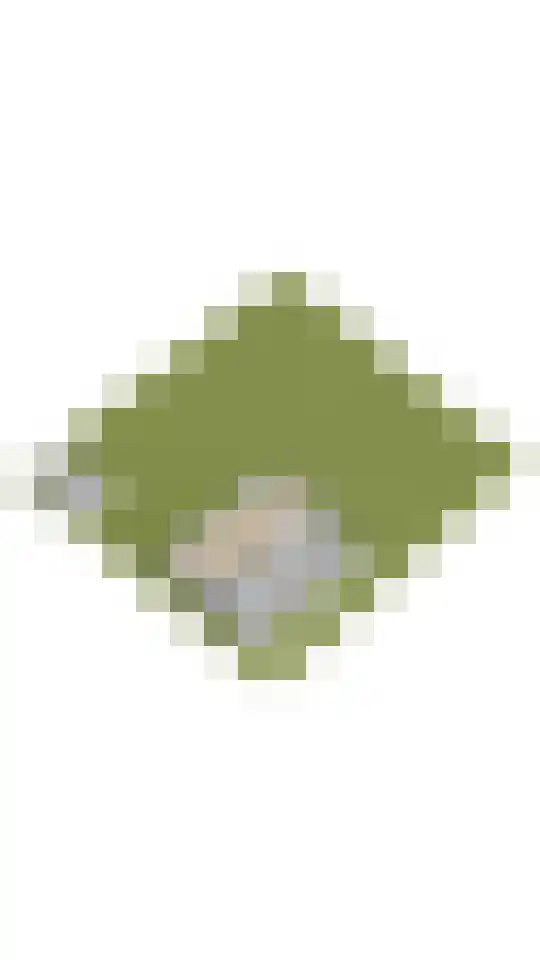 Bosweg 17 Berg en Dal thumbnail 91