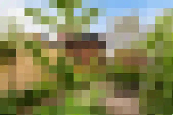Bosweg 17 Gouda thumbnail 31
