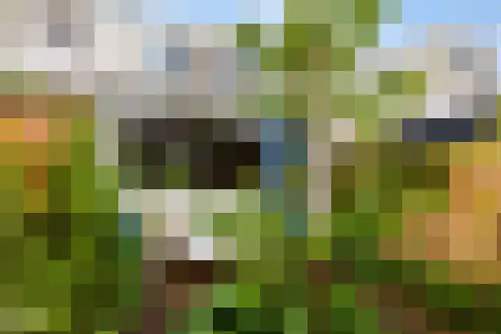 Bosweg 17 Gouda thumbnail 32