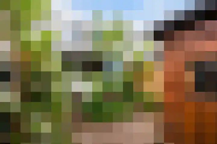 Bosweg 17 Gouda thumbnail 35
