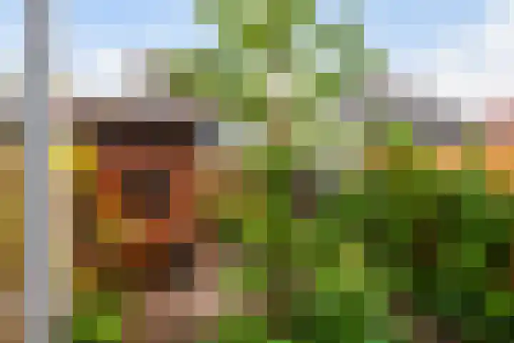 Bosweg 17 Gouda thumbnail 4