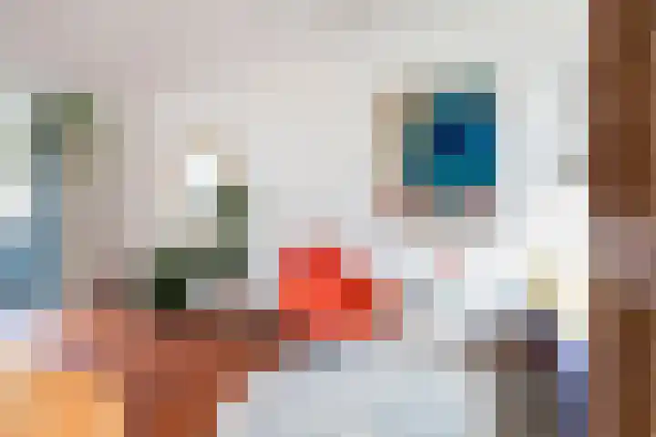 Bosweg 17 Gouda thumbnail 8