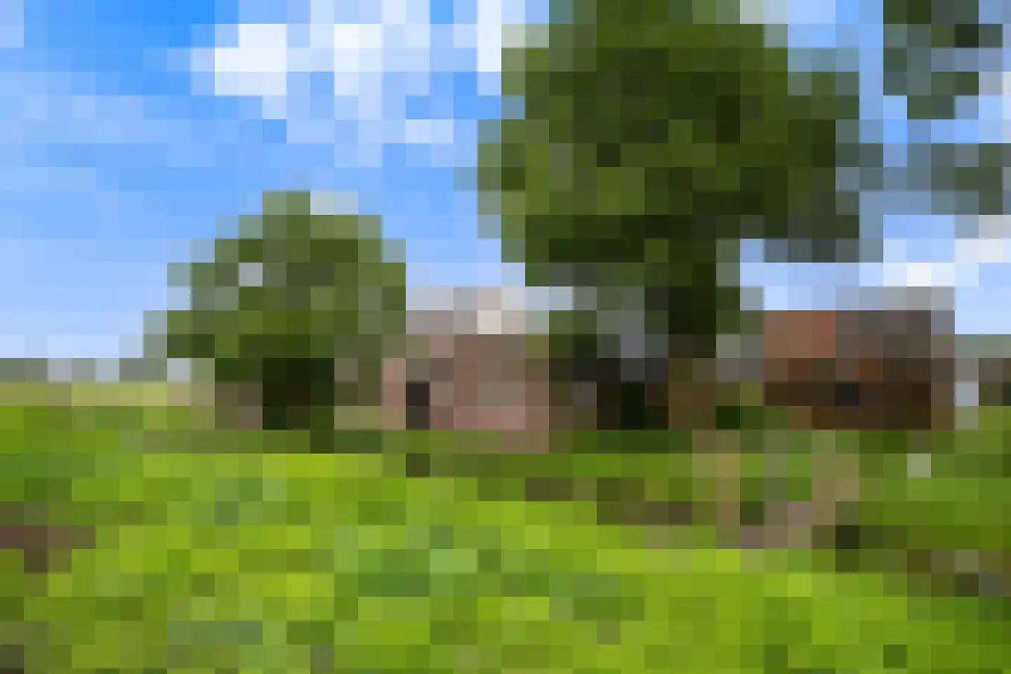 Bosweg 17 Stolwijk thumbnail 10