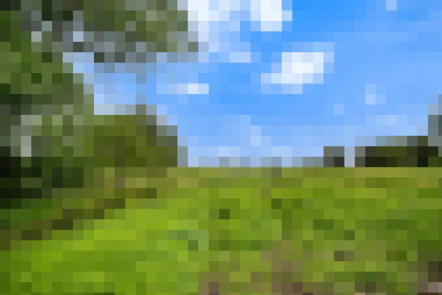 Bosweg 17 Stolwijk thumbnail 11