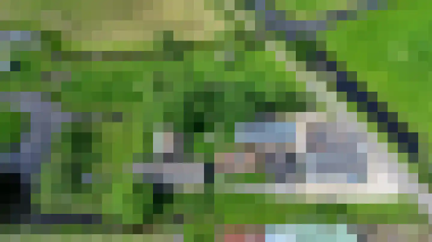 Bosweg 17 Stolwijk thumbnail 13
