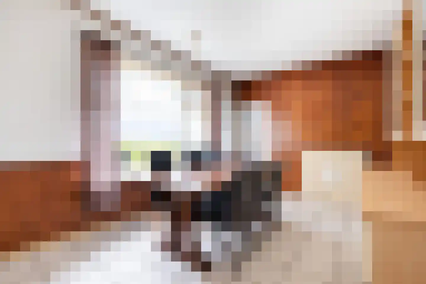 Bosweg 17 Stolwijk thumbnail 19