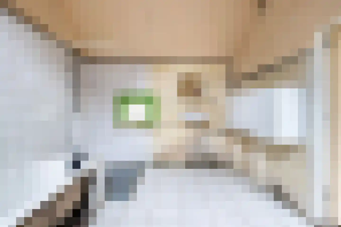 Bosweg 17 Stolwijk thumbnail 20