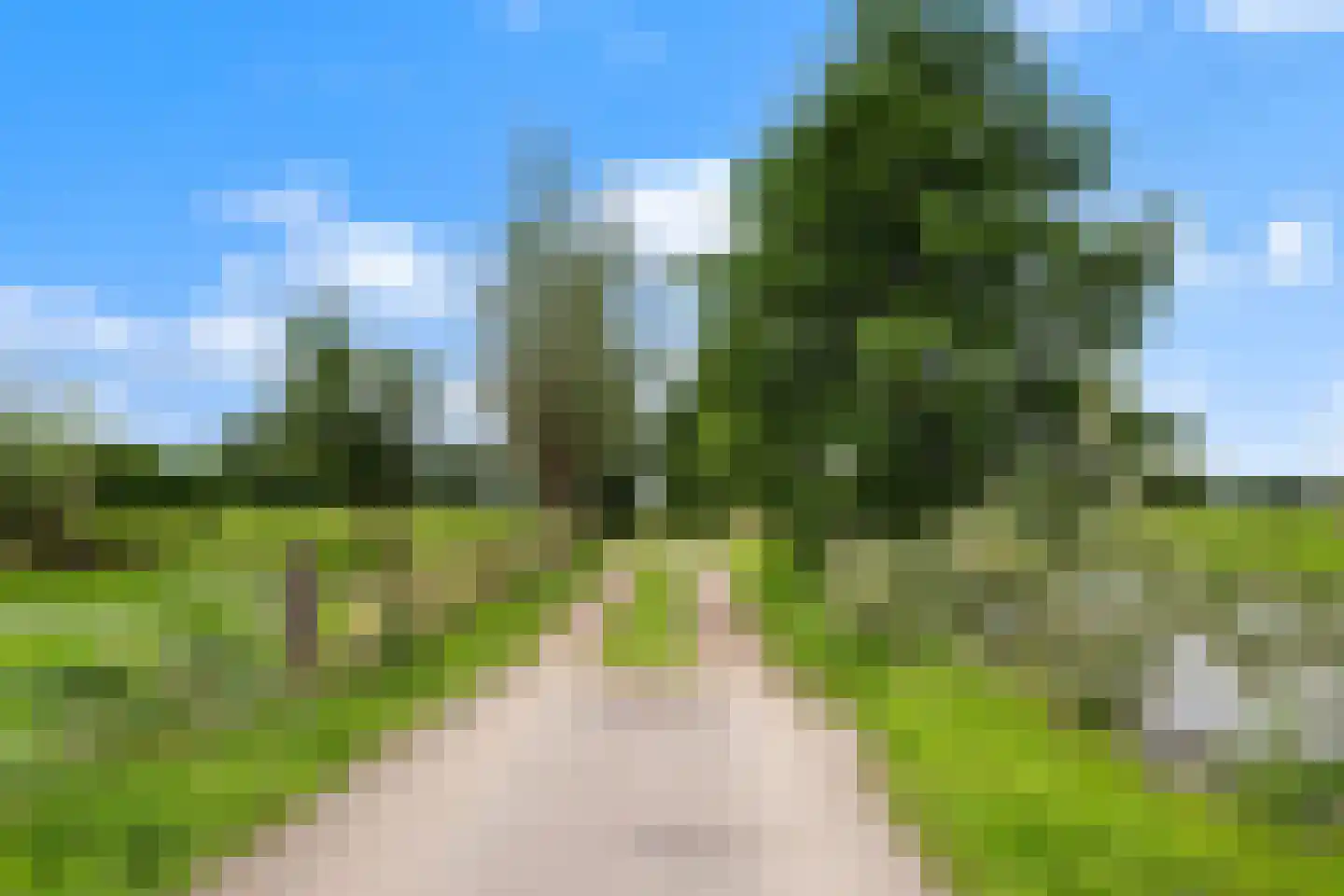 Bosweg 17 Stolwijk thumbnail 27