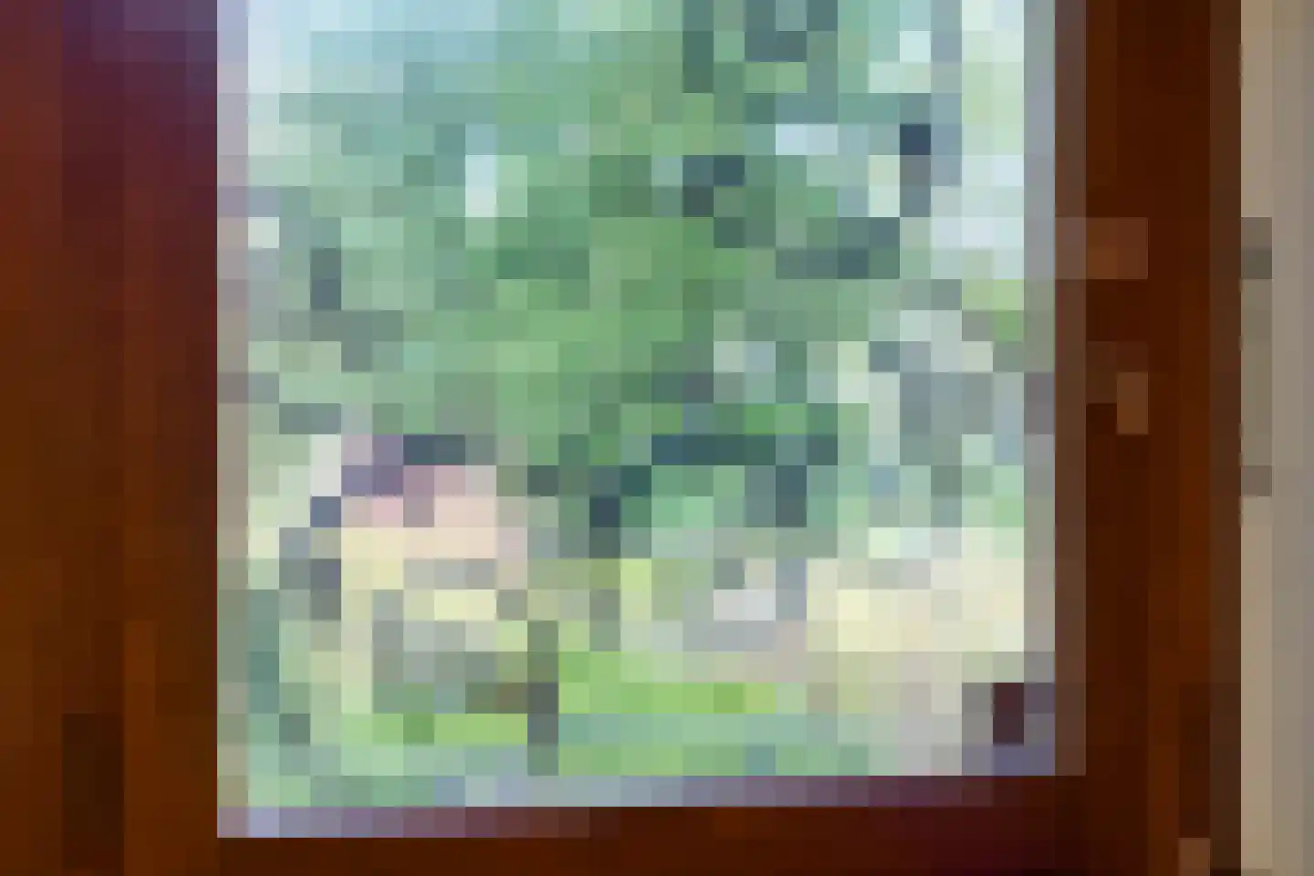 Bosweg 175 Enschede thumbnail 14