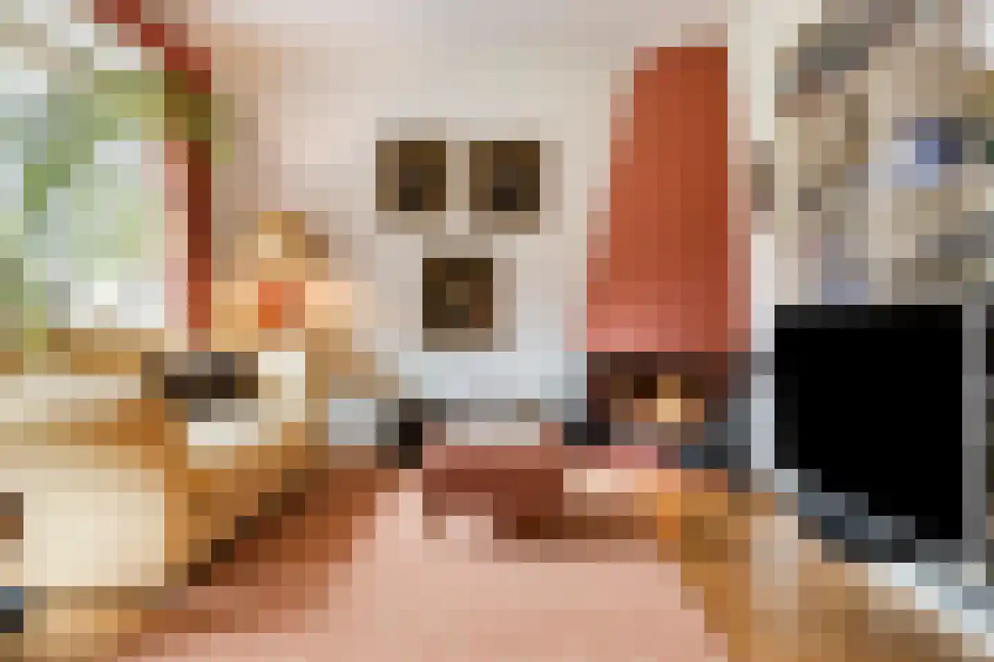 Bosweg 175 Enschede thumbnail 18