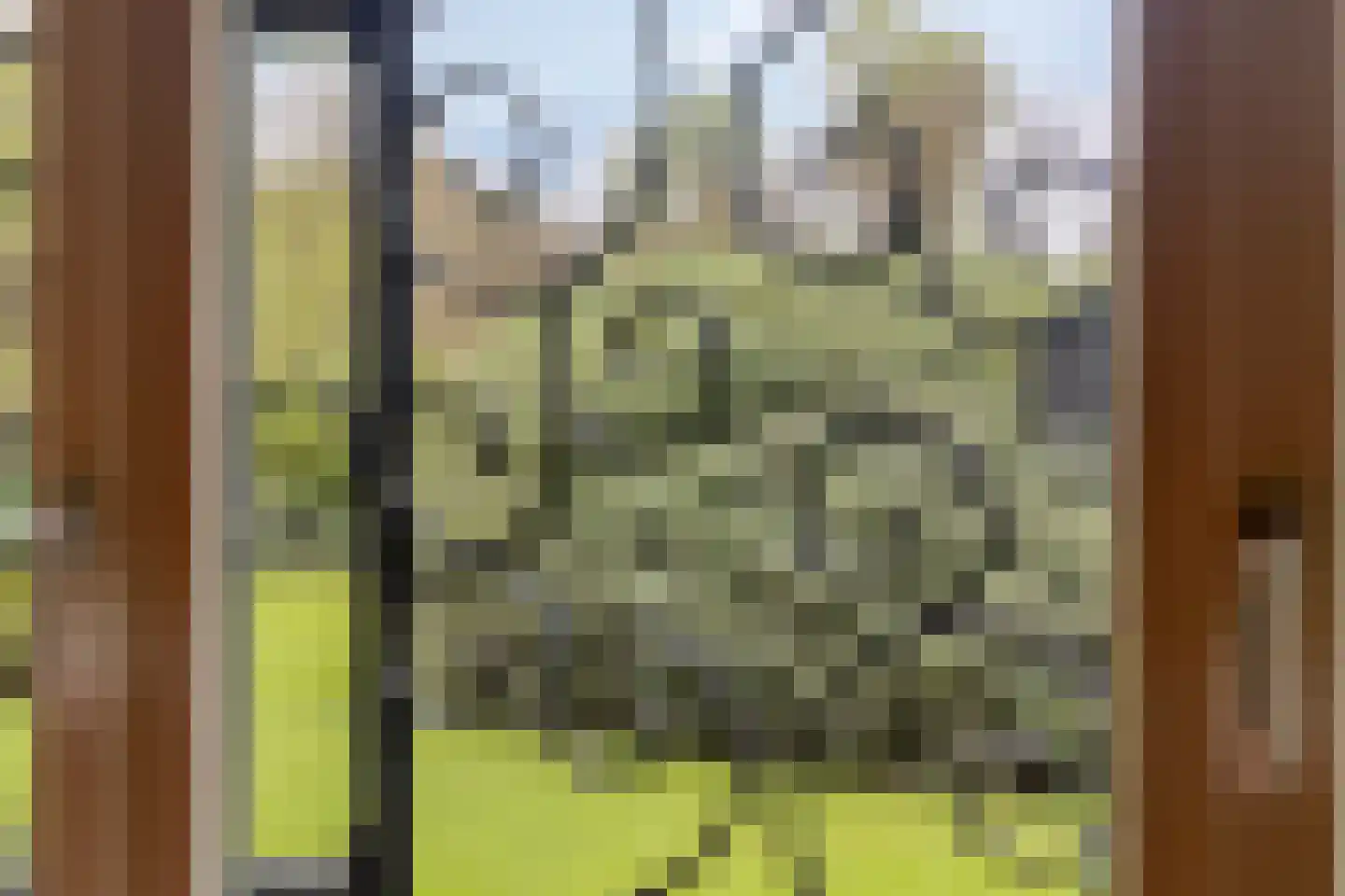 Bosweg 175 Enschede thumbnail 31