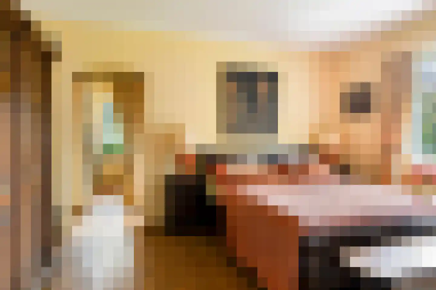 Bosweg 175 Enschede thumbnail 33