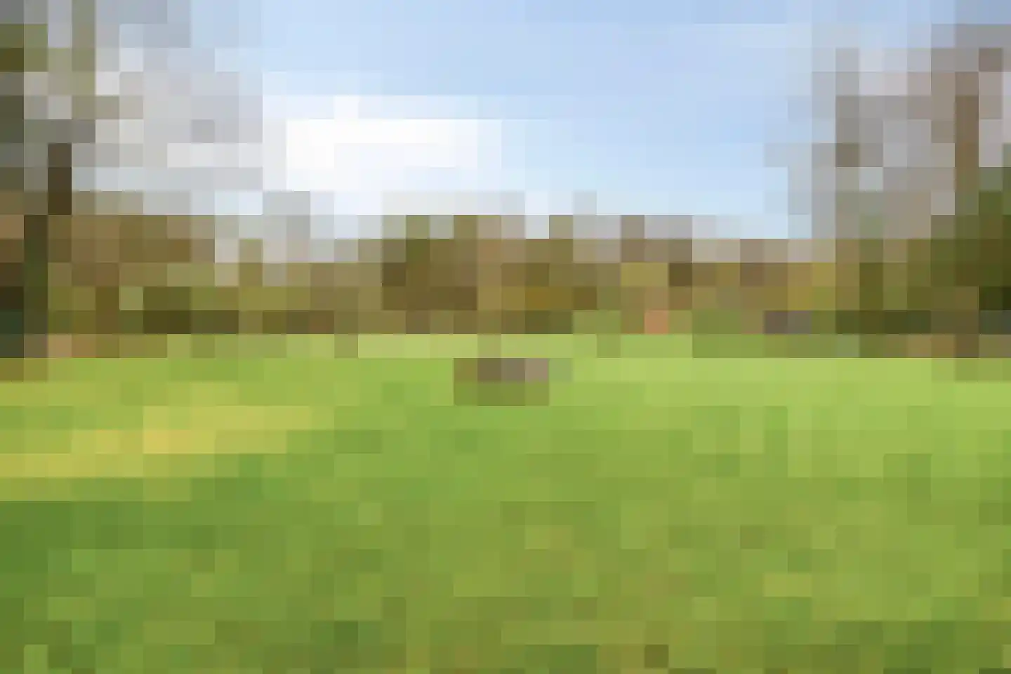 Bosweg 175 Enschede thumbnail 4