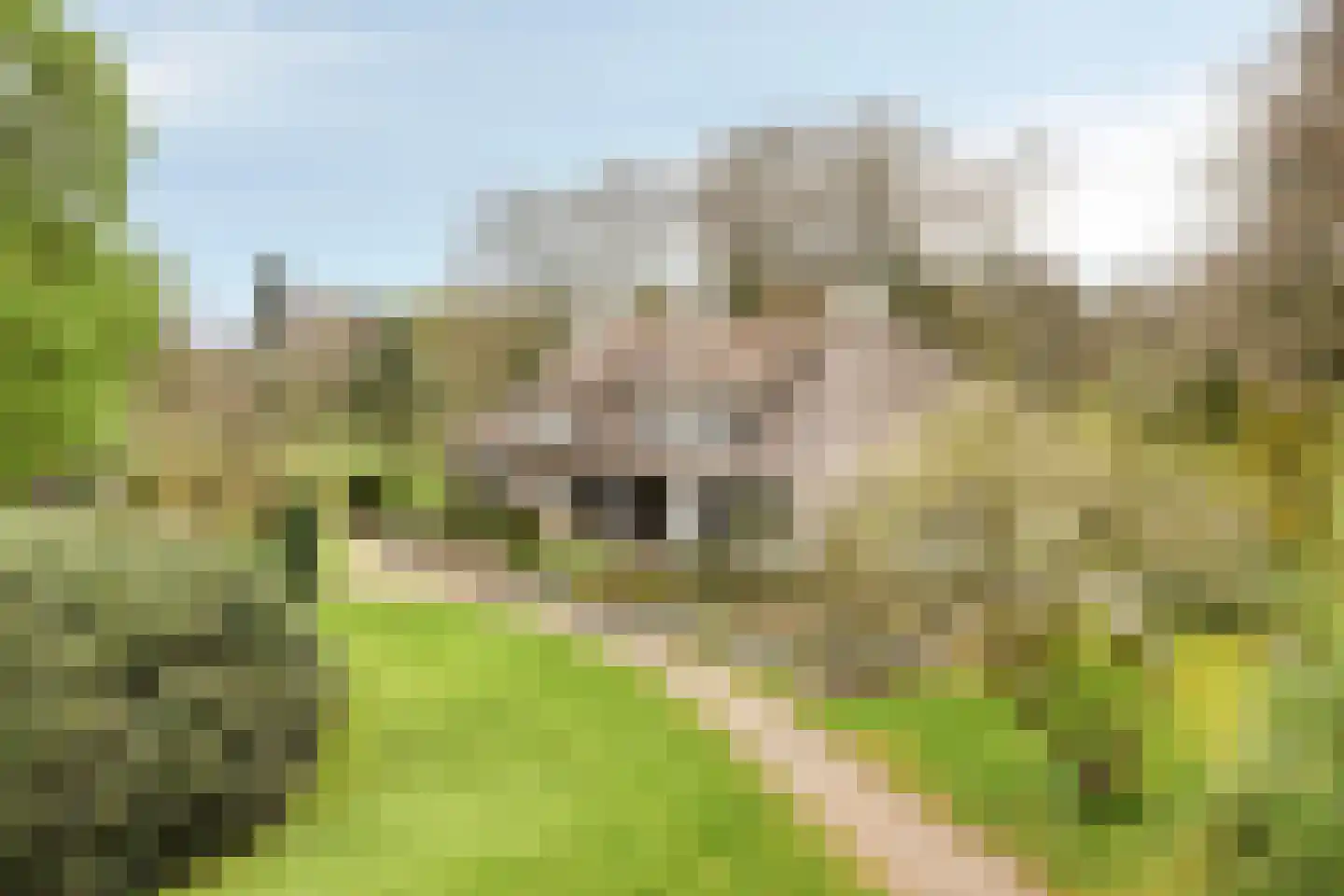 Bosweg 175 Enschede thumbnail 5