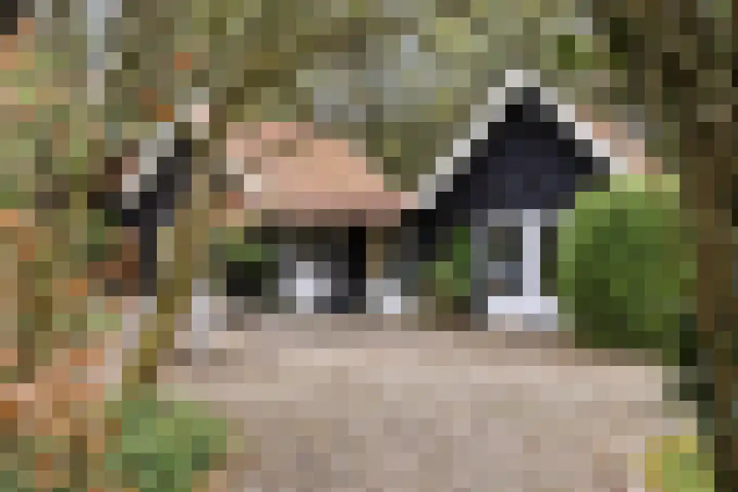 Bosweg 175 Enschede thumbnail 60