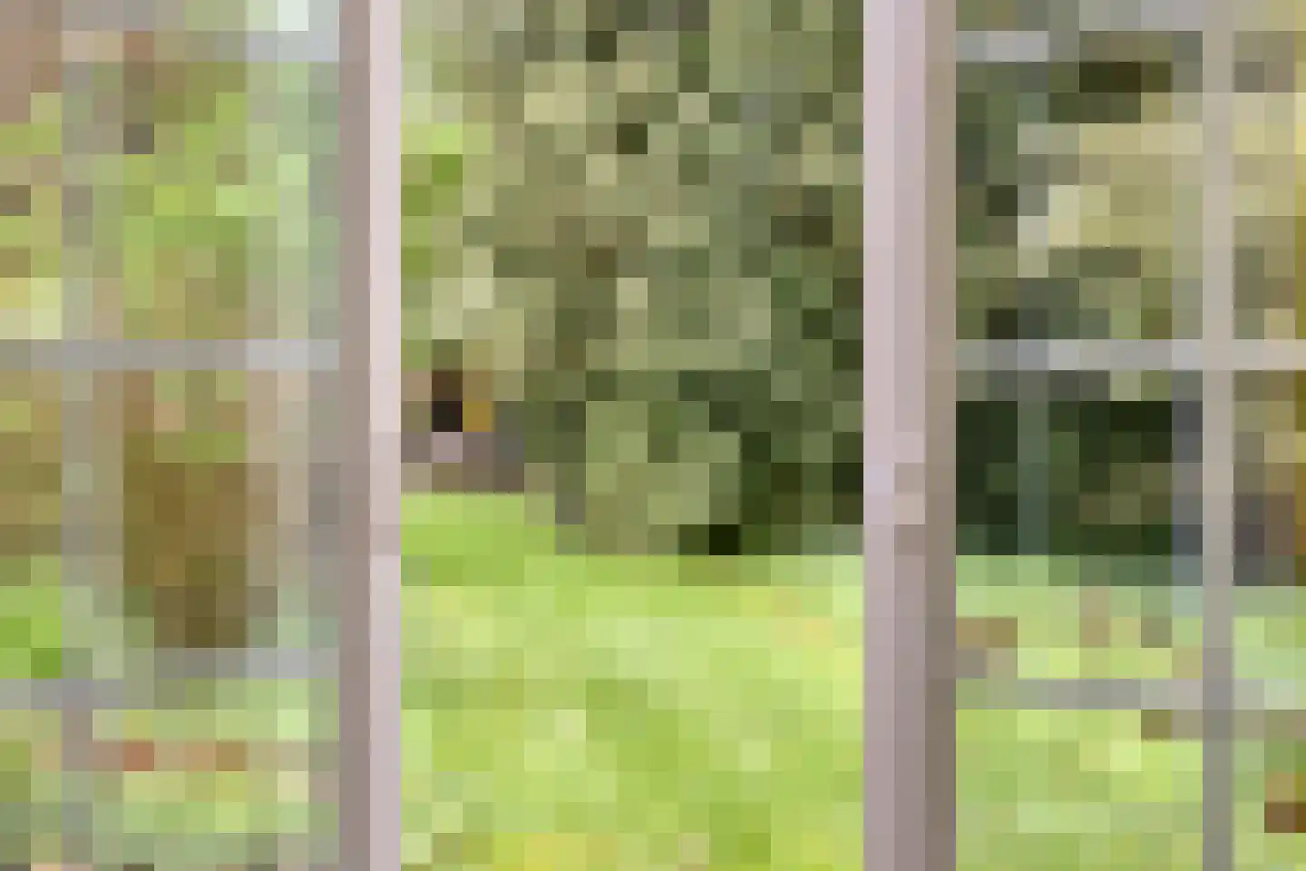 Bosweg 175 Enschede thumbnail 74