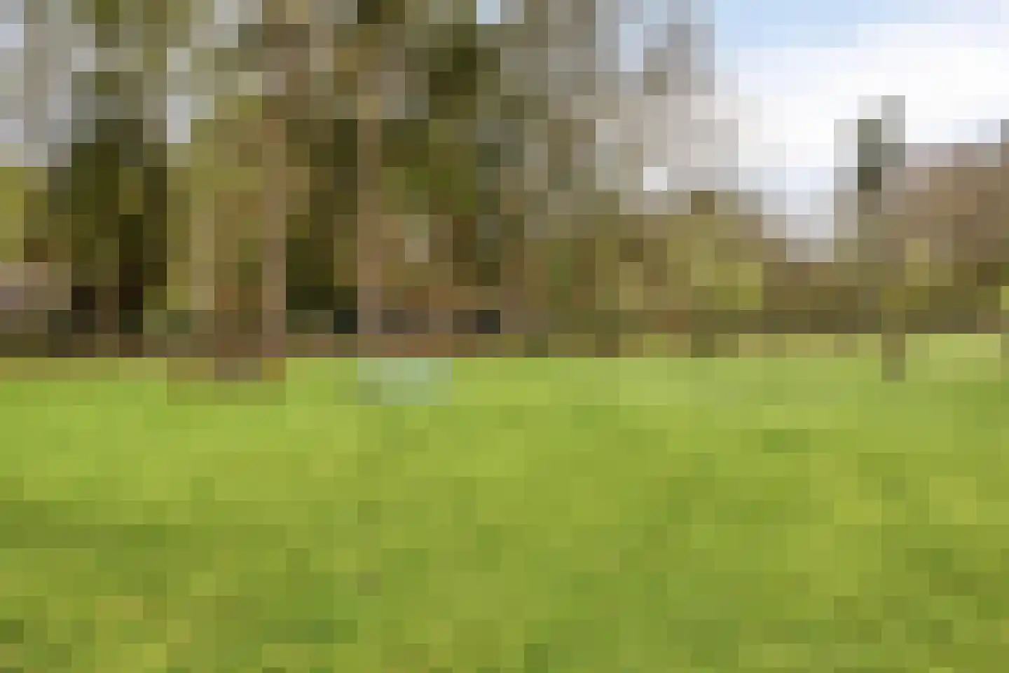 Bosweg 175 Enschede thumbnail 78