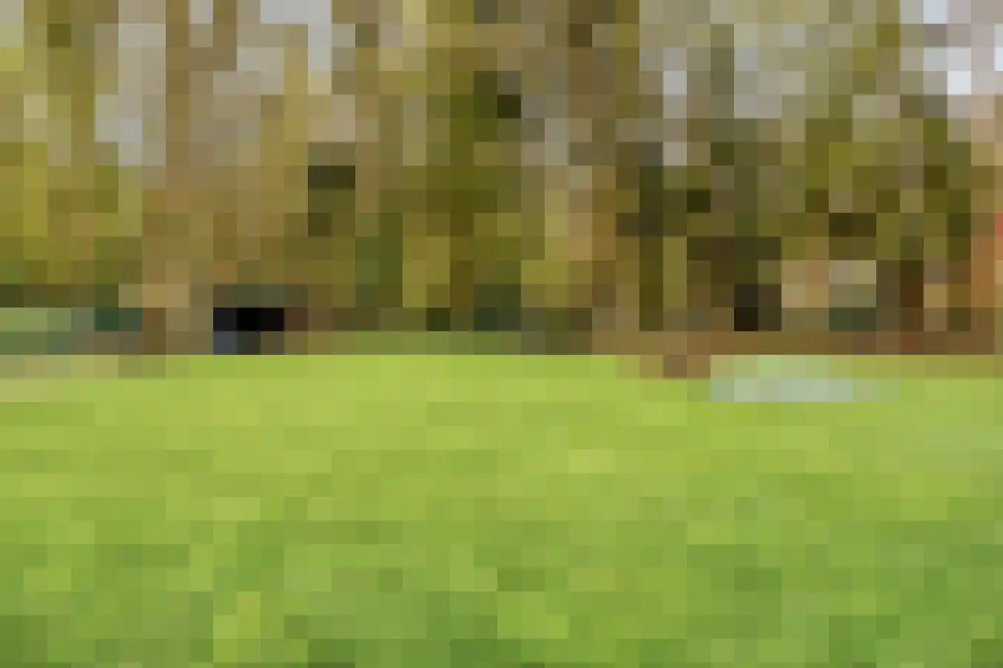 Bosweg 175 Enschede thumbnail 79