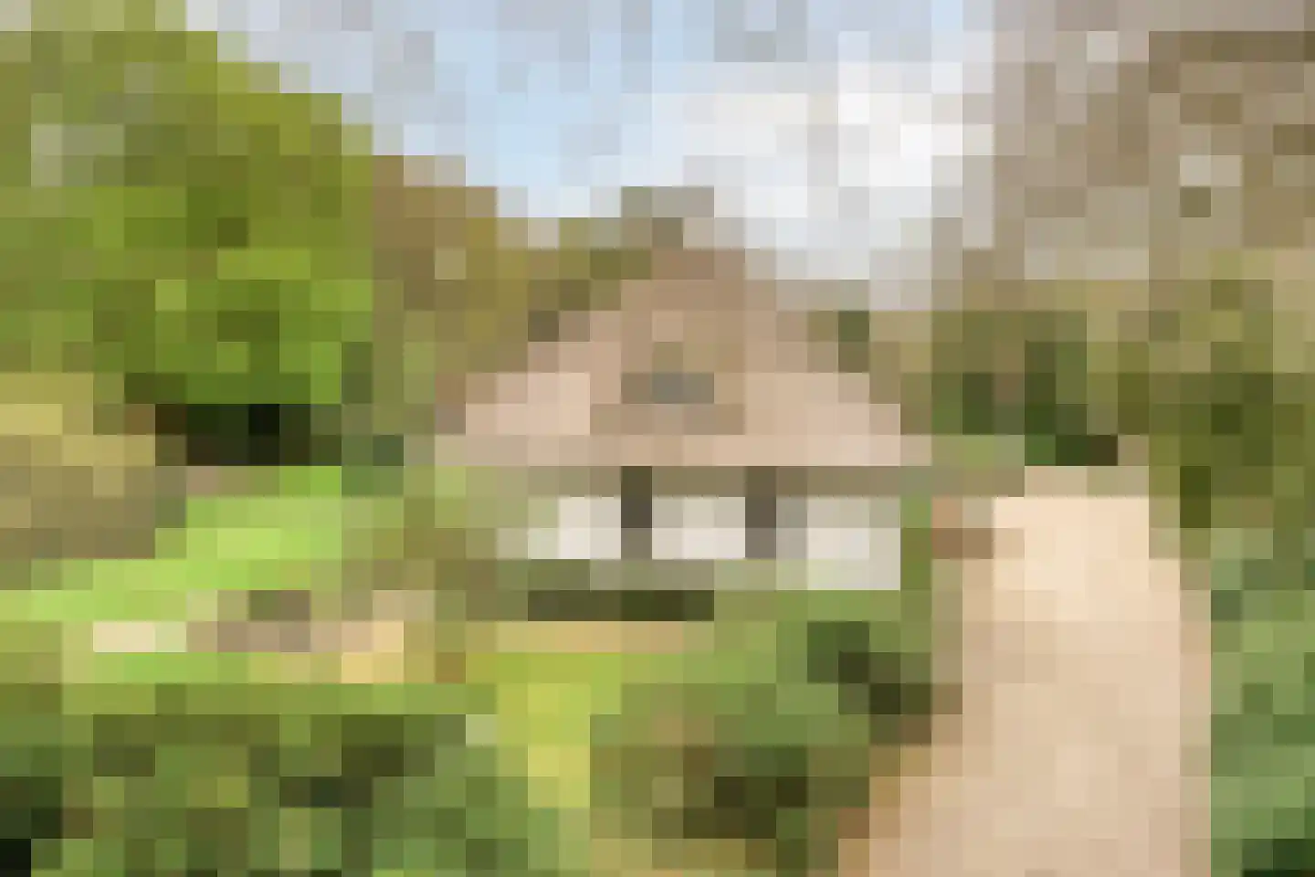 Bosweg 175 Enschede thumbnail 8