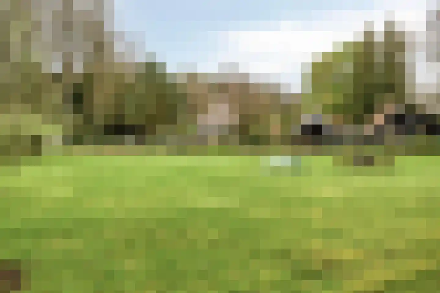 Bosweg 175 Enschede thumbnail 81