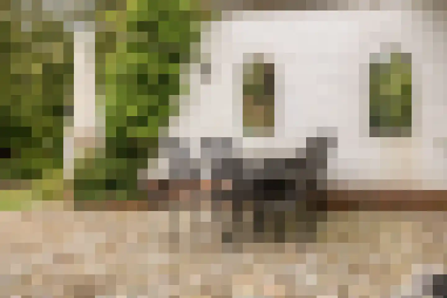 Bosweg 175 Enschede thumbnail 82