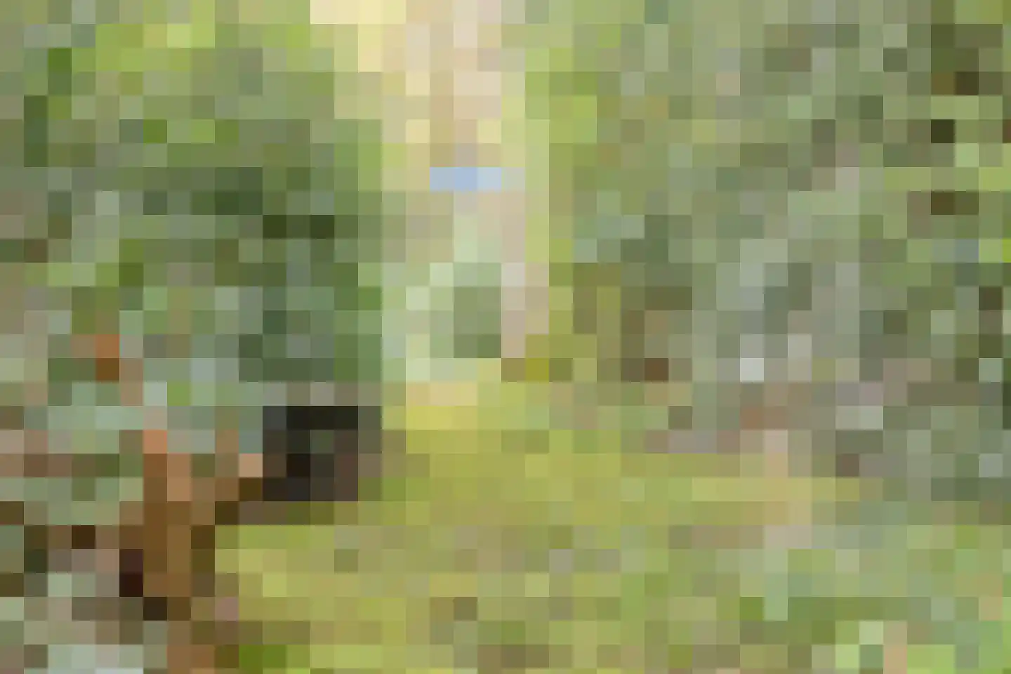 Bosweg 175 Enschede thumbnail 85