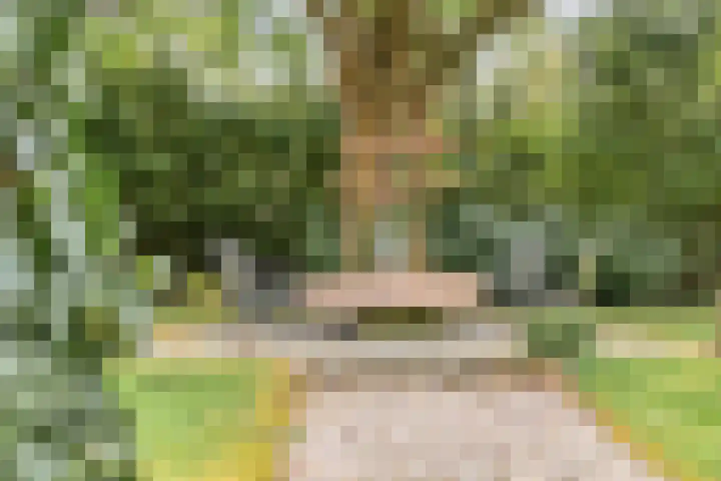Bosweg 175 Enschede thumbnail 86