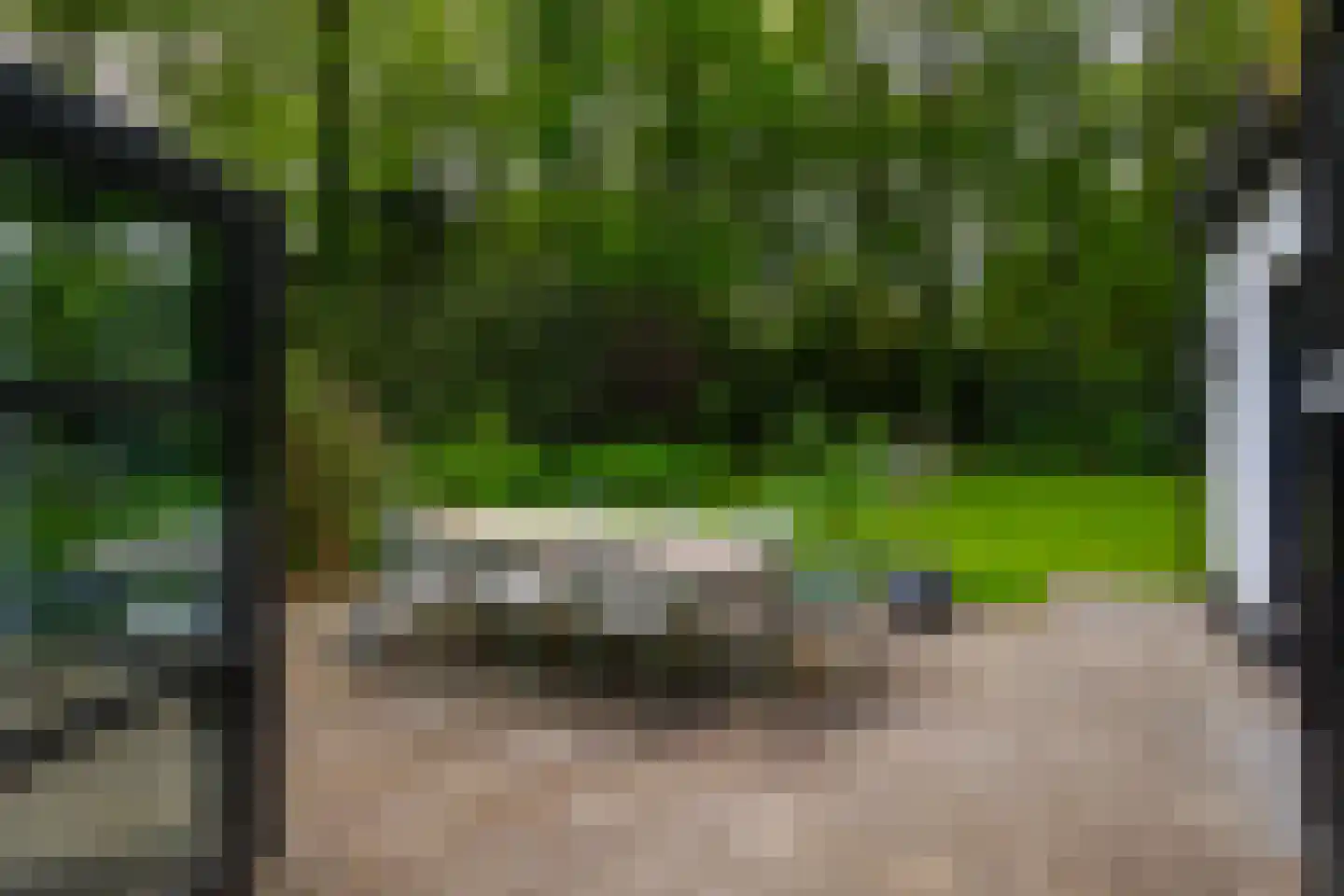 Bosweg 18 Epse thumbnail 34