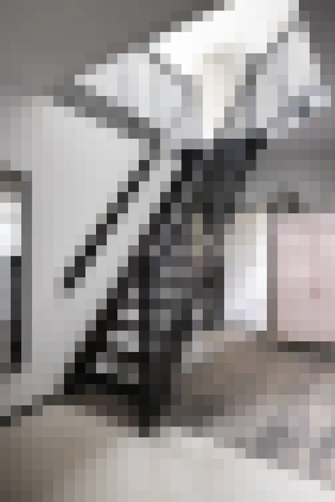 Bosweg 18 Epse thumbnail 44