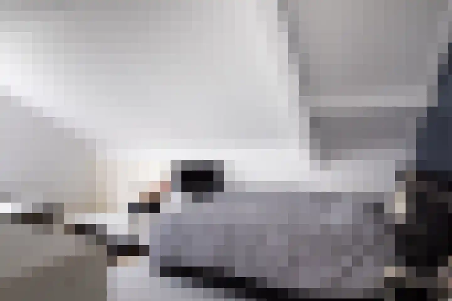 Bosweg 18 Epse thumbnail 49