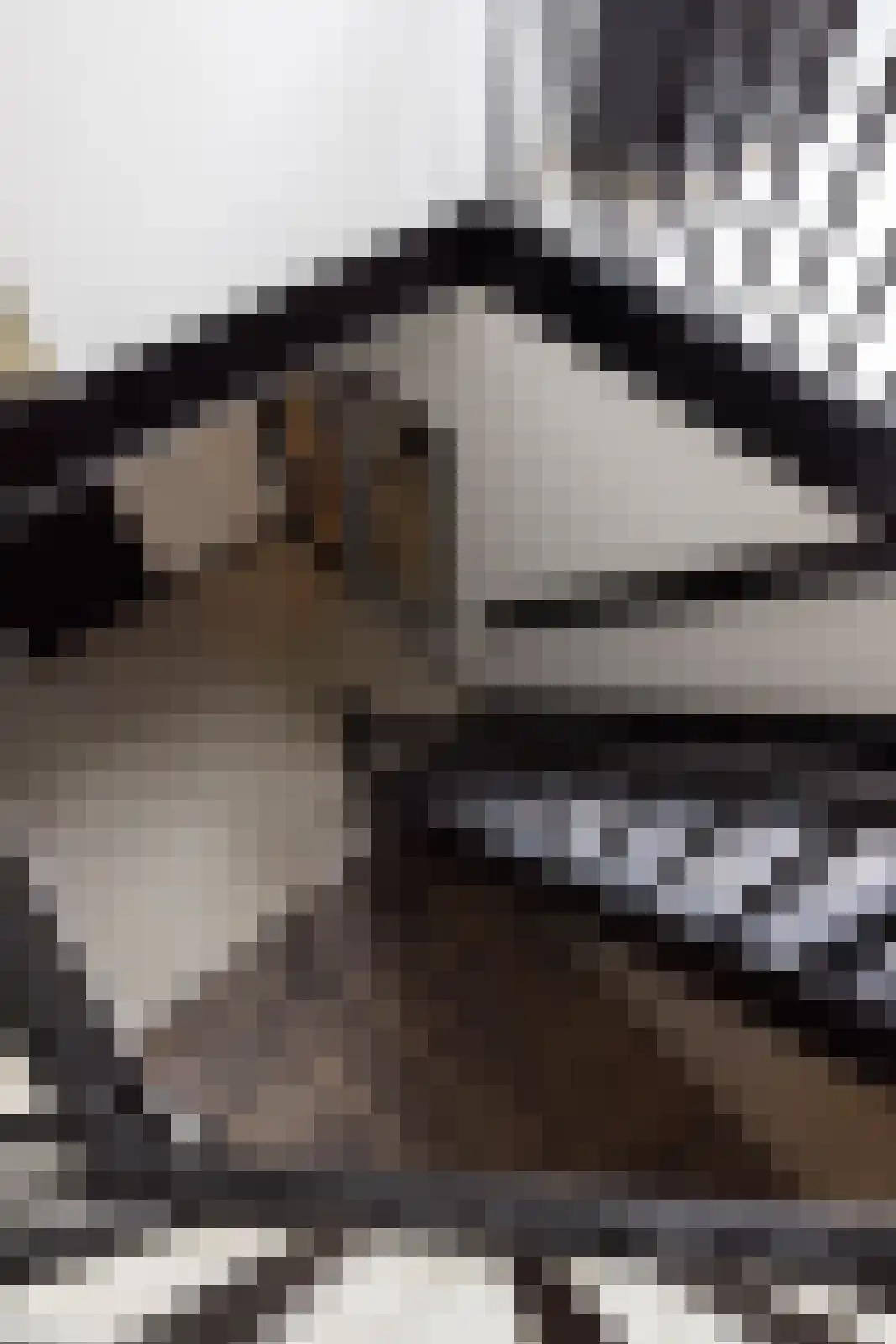 Bosweg 18 Epse thumbnail 58