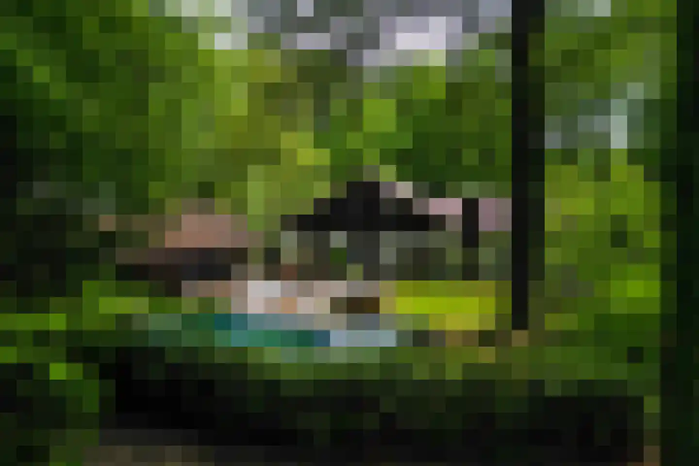 Bosweg 18 Epse thumbnail 59