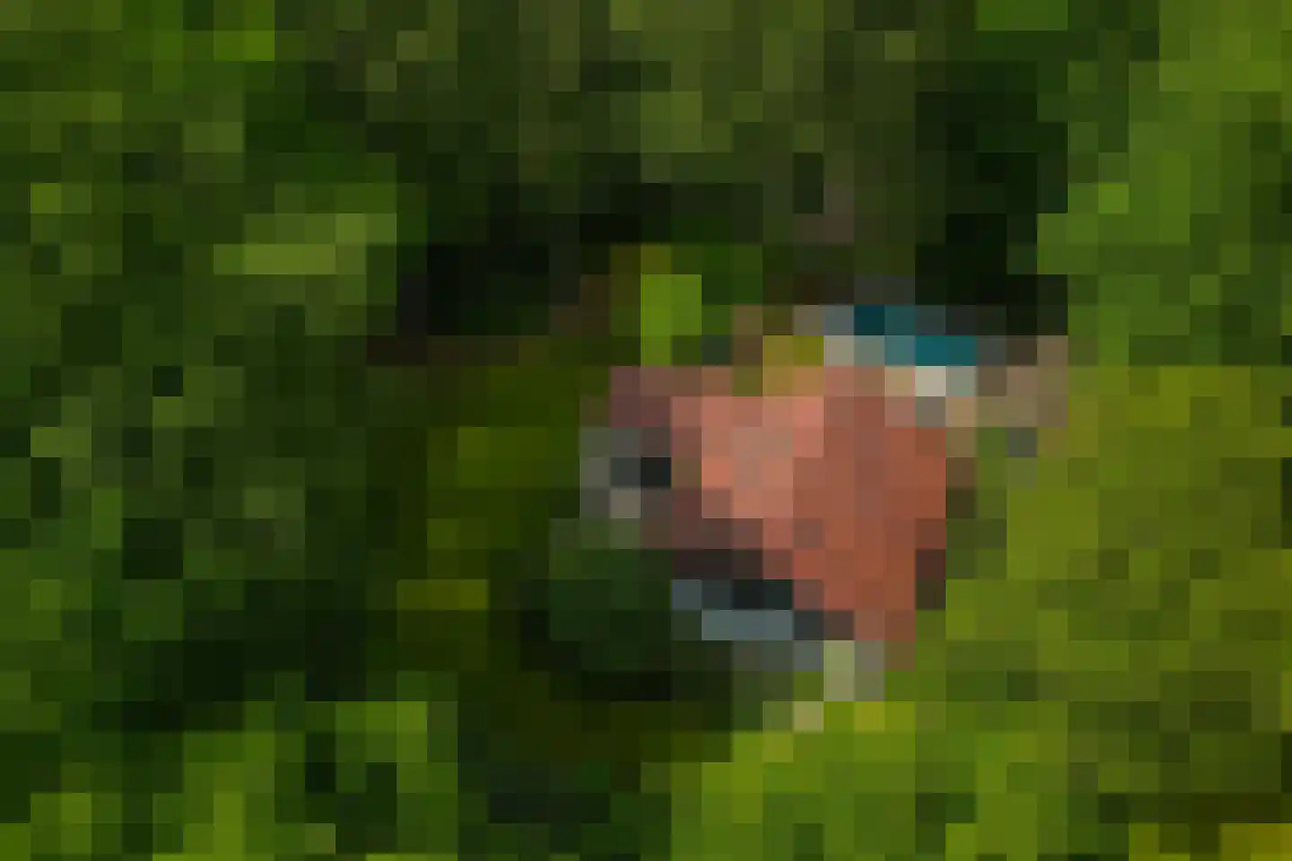 Bosweg 18 Epse thumbnail 61