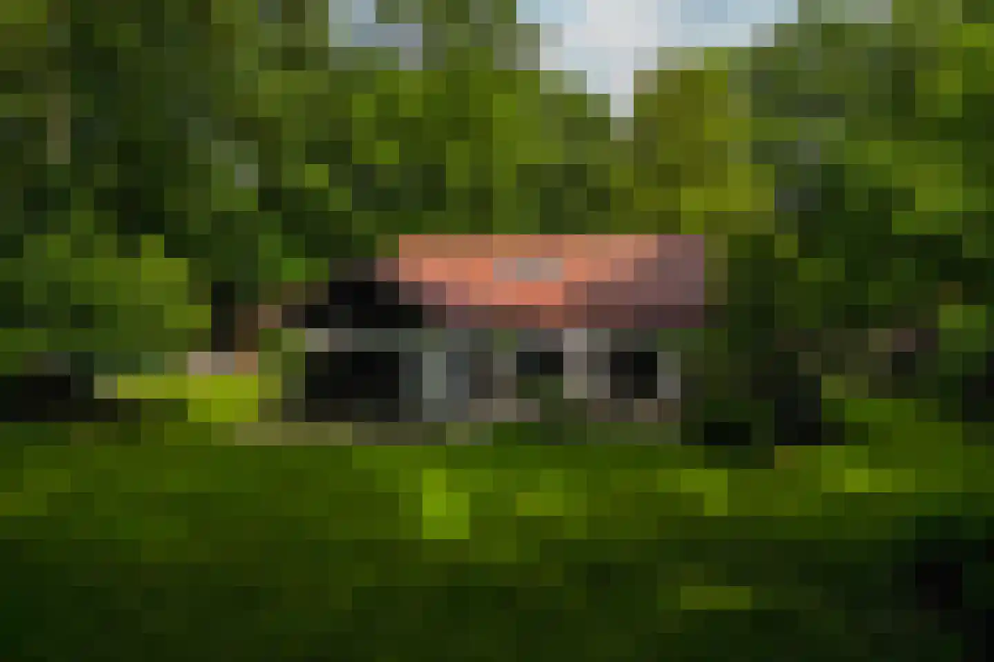 Bosweg 18 Epse thumbnail 62