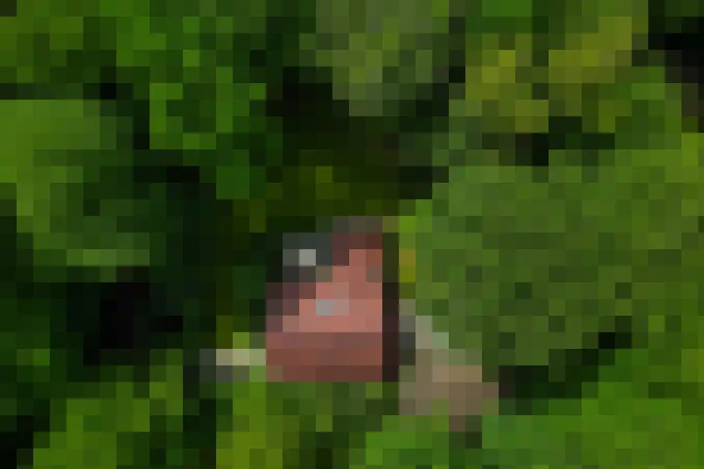 Bosweg 18 Epse thumbnail 63