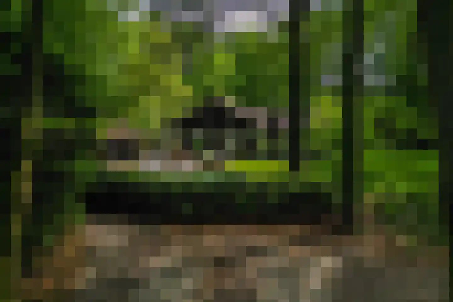 Bosweg 18 Epse thumbnail 65