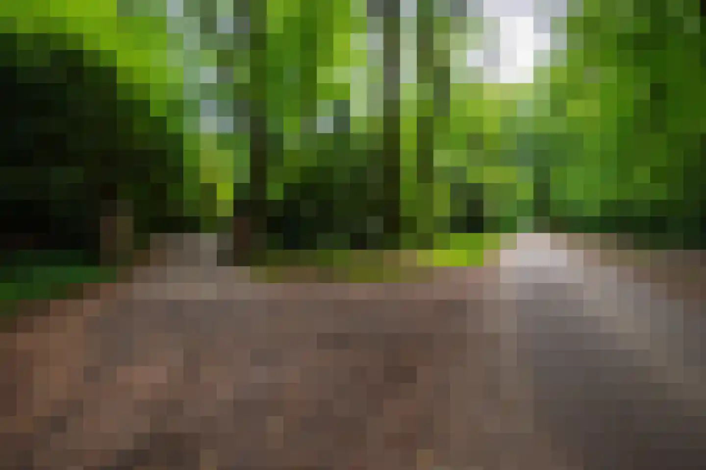 Bosweg 18 Epse thumbnail 66