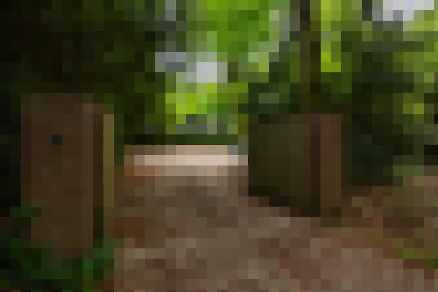 Bosweg 18 Epse thumbnail 67