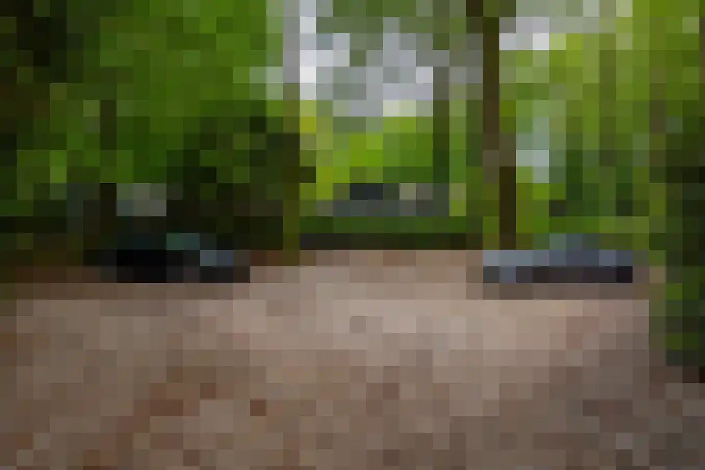 Bosweg 18 Epse thumbnail 68