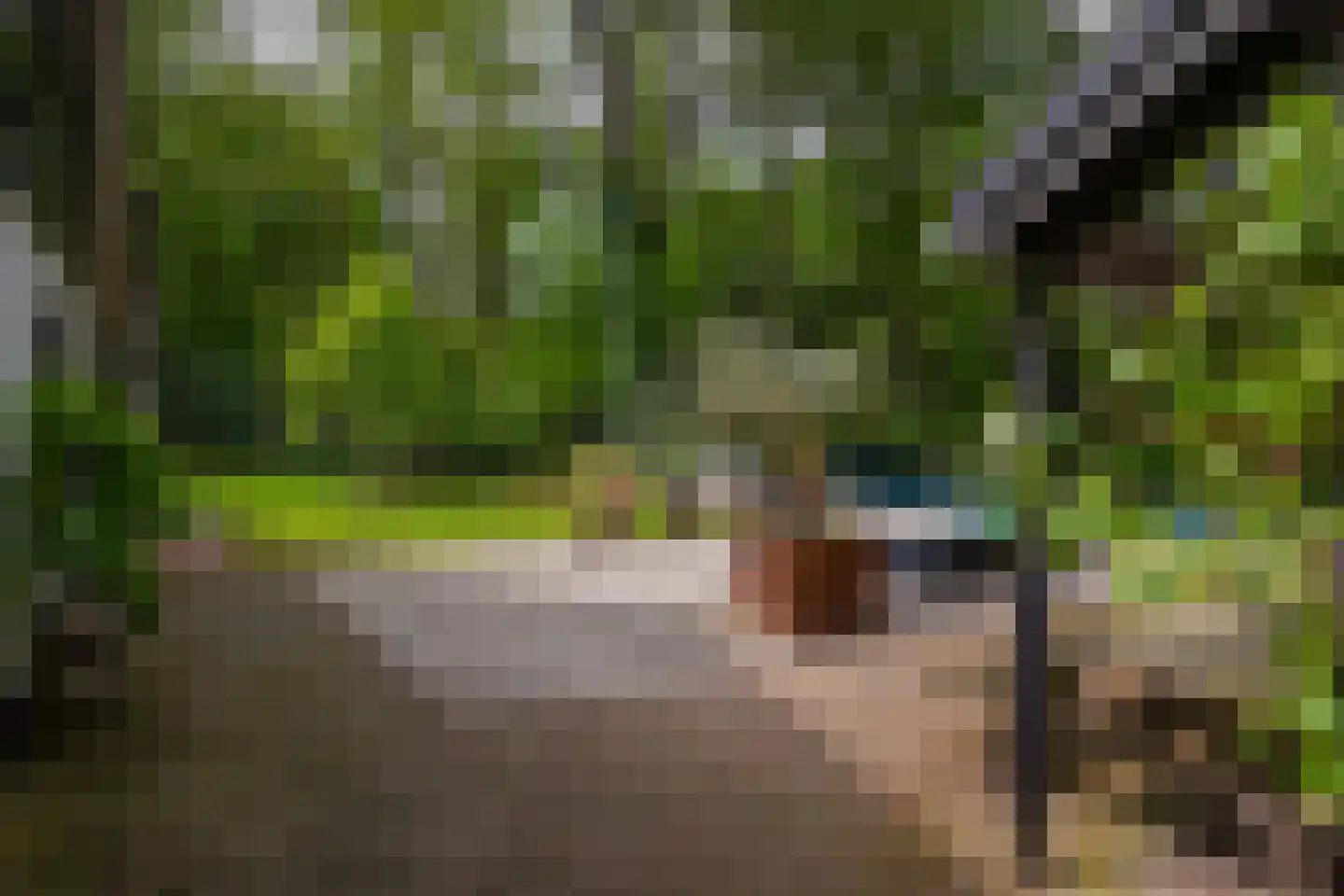 Bosweg 18 Epse thumbnail 72