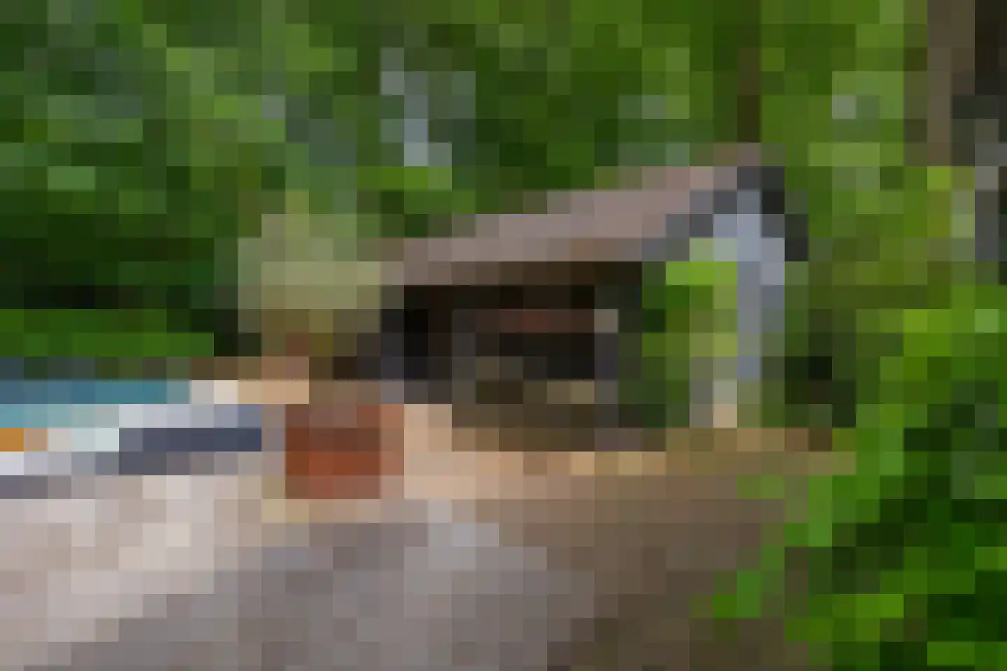 Bosweg 18 Epse thumbnail 74