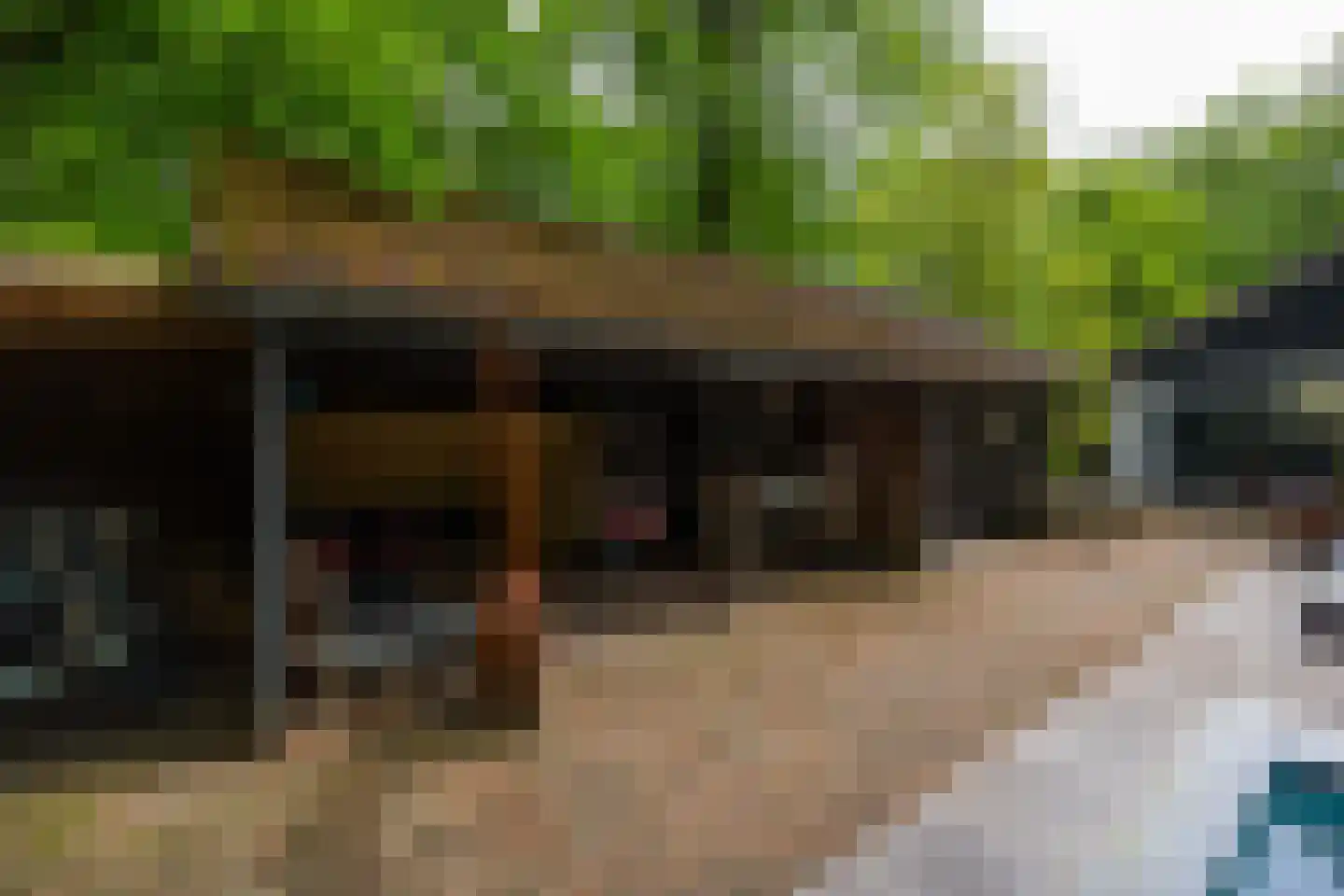 Bosweg 18 Epse thumbnail 78