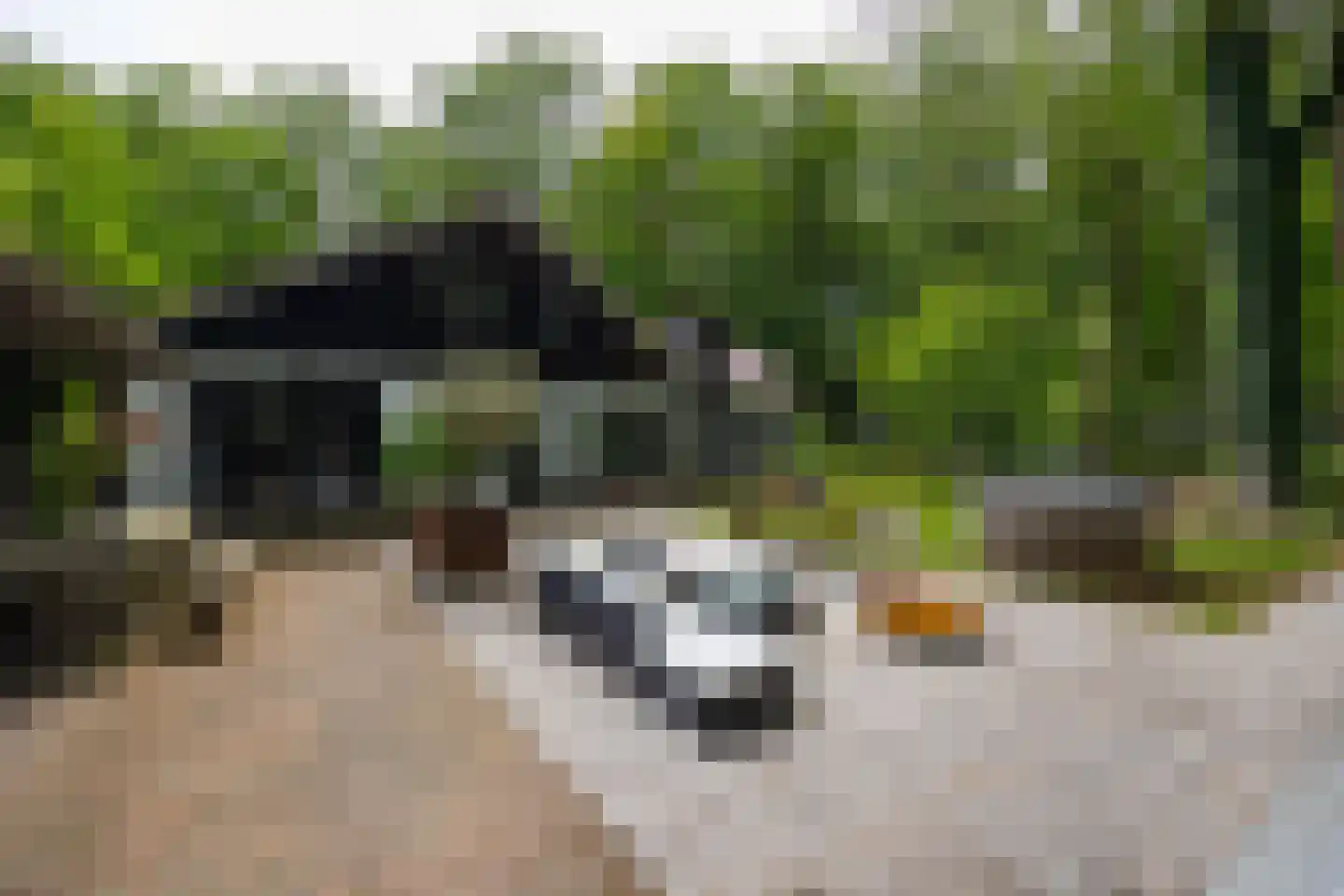 Bosweg 18 Epse thumbnail 79