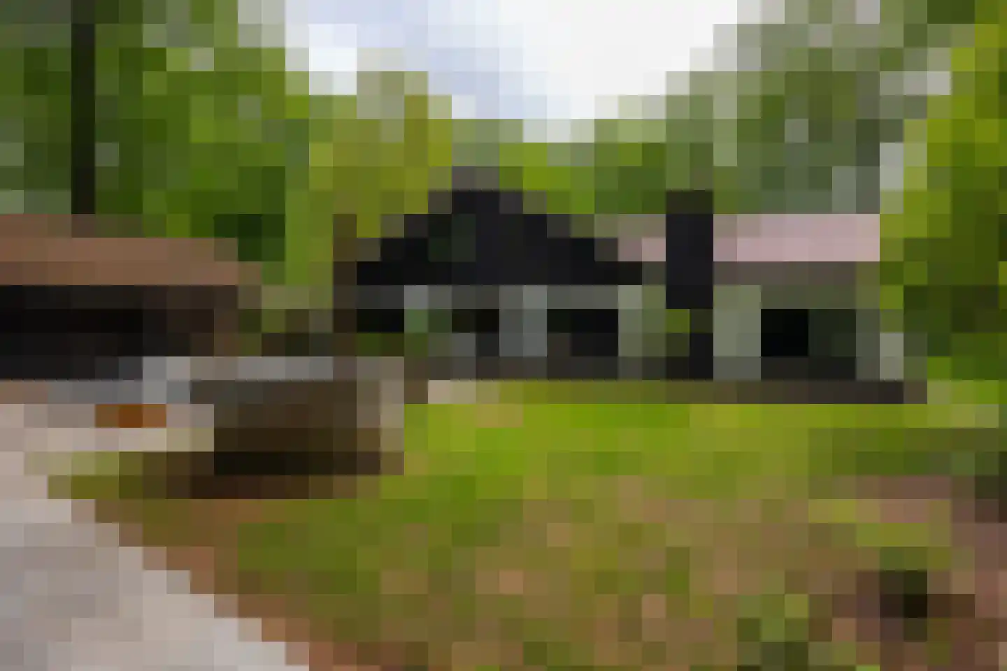 Bosweg 18 Epse thumbnail 80